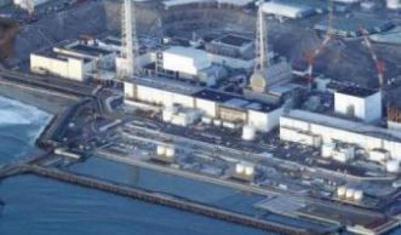 院士专家座谈会：数字化转型是核电产业发展的必然趋势