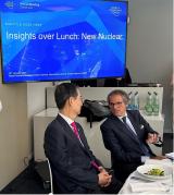 格罗西在世界经济论坛上推广核能