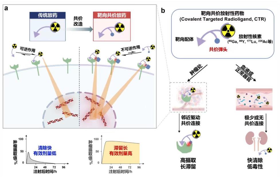 加纳将启动首座核电厂供应商甄选流程