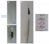 上海光机所在量子阱红外探测器长波红外激光辐照损伤研究方面取得进展