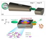 国际首次!电子束驱动强场QED效应及其产生的稠密极化正电子源研究取得新进展