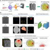人工智能赋能纳米分辨CT表征技术应用于新型纳米药物研发