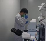 我国核仪器仪表领域国际标准化工作实现新突破