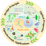 福建物构所锰基有机金属卤素杂化闪烁体研究取得进展