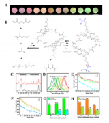 南京航空航天大学材料学院在3D打印高灵敏度放疗剂量计取得进展