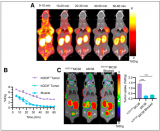于金明院士携手程震教授在核医学顶刊发表最新研究成果