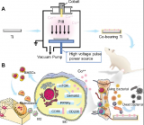科学家用等离子体造出钴离子复合材料 无需抗生素也能加速骨修复