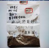 江汉大学科研团队培育花卉种子参与航天育种实验