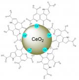 俄科学家研发新型纳米颗粒 减少癌症放疗健康细胞损伤