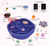 AHM（IF=10）：CZT成像赋能阿尔法核素诊疗一体化