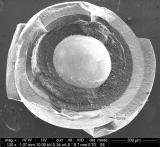 Rosatom成功完成高温气冷反应堆燃料极端条件测试第一阶段