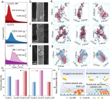 合肥光源用户在二次电池研究中取得系列进展