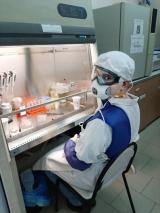 俄罗斯科学家揭示细胞辐射反应新发现 开发新的抗辐射系统保护宇航员