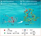 国家原子能机构核环境安全技术创新中心匙芳廷教授团队在海水提铀材料研究取得进展