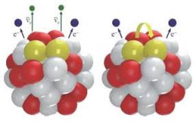 新型含碲闪烁体推进无中微子 ββ 衰变研究