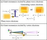 我国学者在相对论电子激发核巨共振研究中取得进展