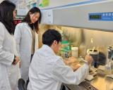 韩国原子能研究院开发出环保型微生物菌株去除难分解污染物