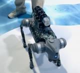 核技术在环保领域有哪些妙用？看，“硬核”科技纷纷亮相！