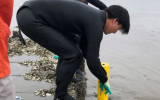 新研究：核技术海藻养殖场或成海洋碳去除新力量