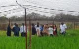 国际原子能机构与粮农组织在布基纳法索启动“Atoms4Food”联合评估团