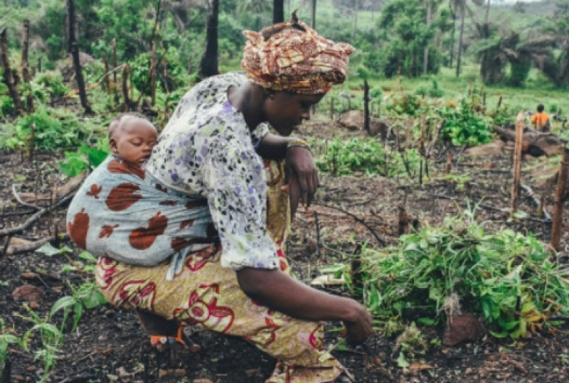 国际原子能机构启动新项目 优化母乳摄入量测量技术