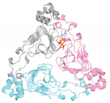 美国研究人员利用同步加速器 X 射线寻找对抗抗生素耐药性候选药物