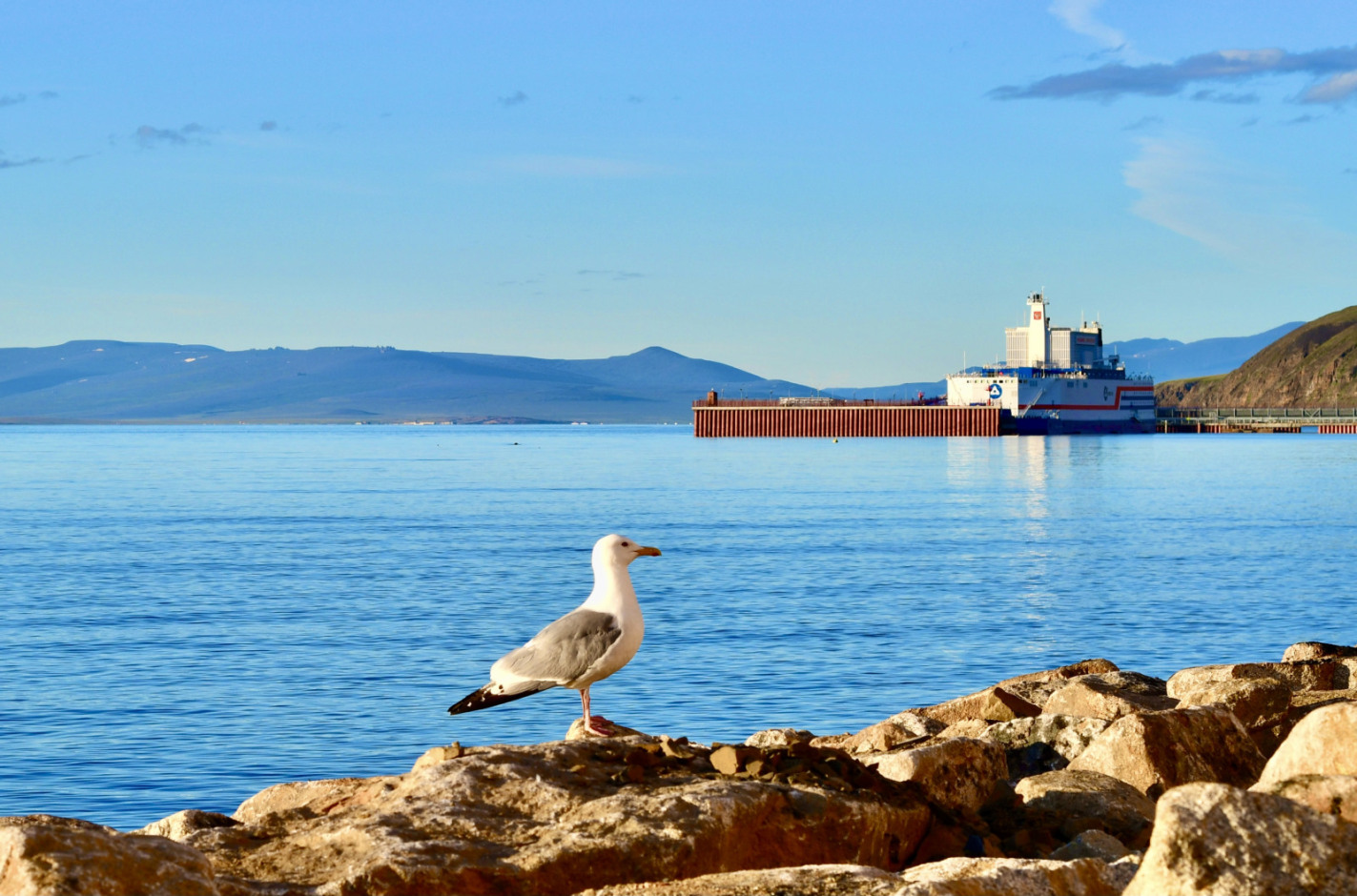 俄罗斯楚科奇浮动核电站向公众公布环境安全报告