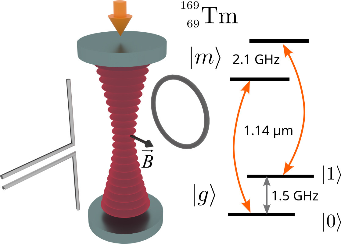 俄科研团队实现铥原子量子比特55秒长相干时间，为量子存储奠定基础