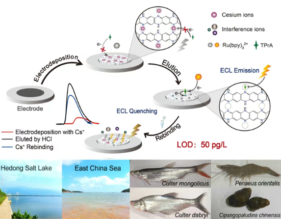 放射医学与辐射防护国家重点实验室华道本教授团队在环境样本痕量铯精准测量方面取得重要进展