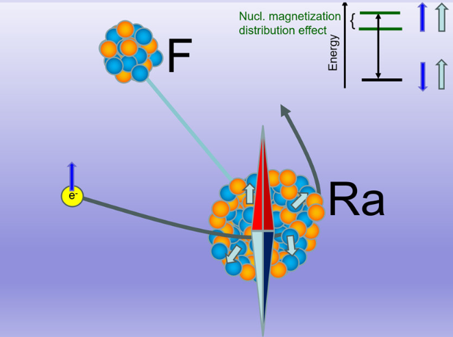 欧洲核子研究中心与俄罗斯团队合作 首次分子观测镭原子核磁结构