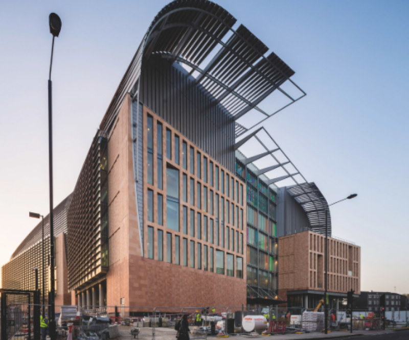 国际团队开发X射线成像新方案 推动小鼠脑连接研究