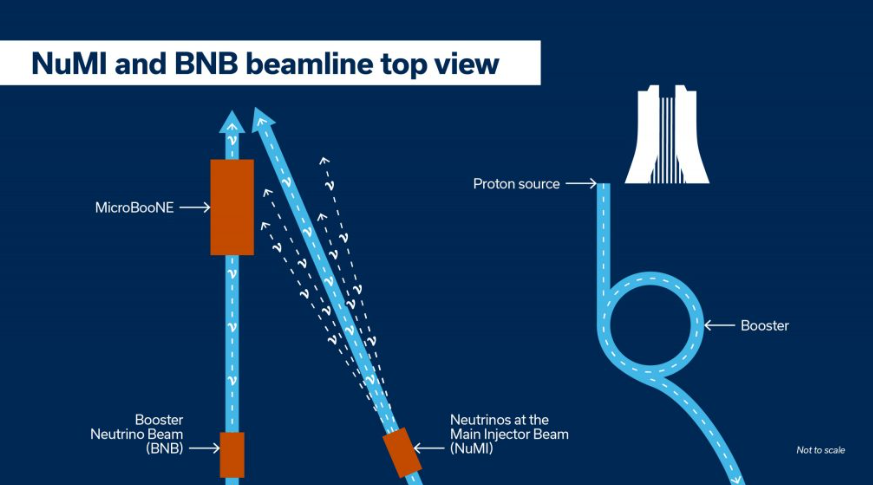 为了获得这一结果，MicroBooNE观测到了来自增强型中微子束（BNB）和NuMI的中微子。