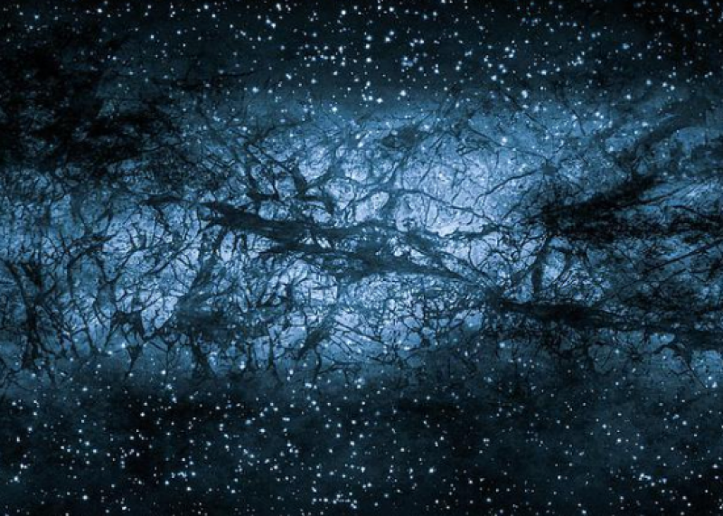 LZ暗物质实验实现双重突破：刷新探测灵敏度并首次捕捉太阳中微子