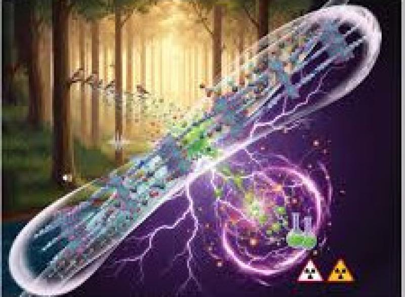 兰州大学团队取得氢同位素及锕系废料分离突破性成果并推动核能迈向可持续发展