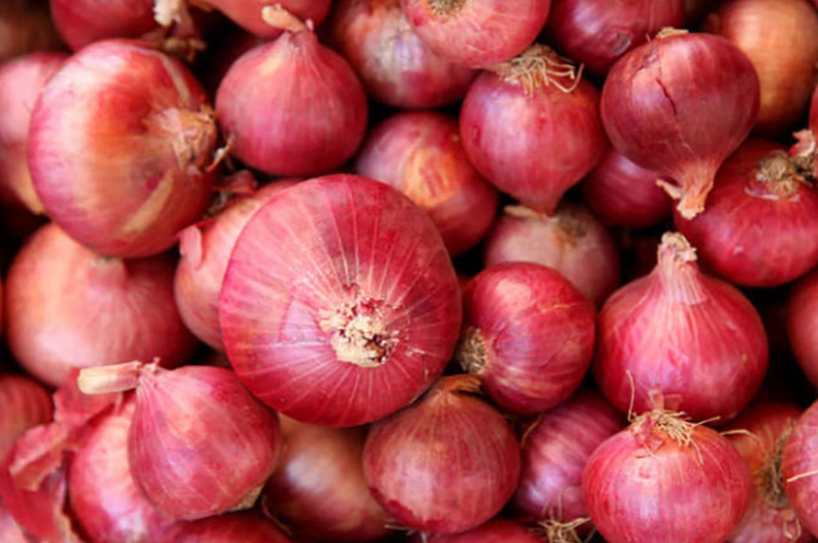 辐照技术缺位致洋葱损失惨重 核技术应用滞后制约孟加拉国农业发展