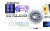 清华大学工程物理系在聚变方向获批1项北京市重点实验室