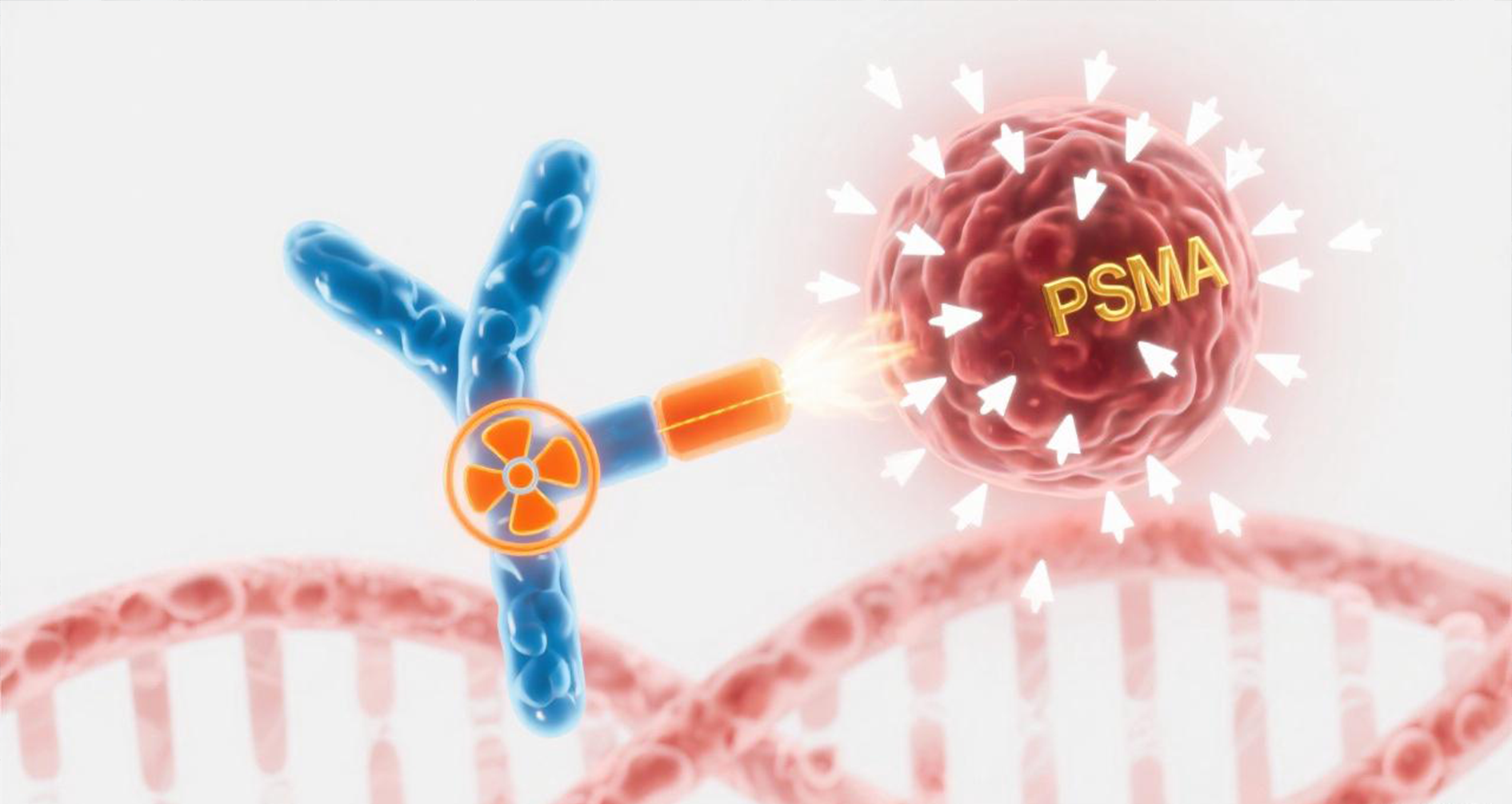 Convergent与NorthStar深化核医药合作 共建α核素抗癌药物一体化