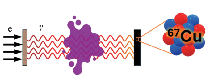 利用剩余伽马射线制备医用放射性核素