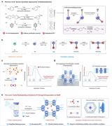 国重室王殳凹教授团队在放射性同位素砹-211（²¹¹At）标记化学领域取得进展