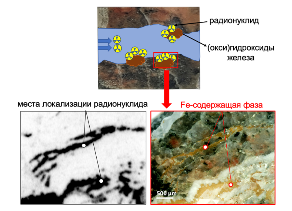 俄科学家揭示放射性废物处置中钢腐蚀对锕系元素迁移的影响