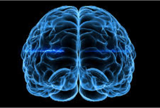 AI赋能核医学影像：脑灌注SPECT辅助诊断阿尔茨海默病研究获进展