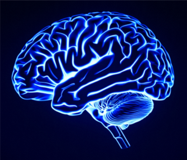 欧洲核医学协会规划AI融合路线图 为核医学技术智能化设立安全框架