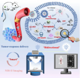 哈工大研发新型镧系MOF纳米诊疗剂 实现肿瘤靶向治疗与精准成像