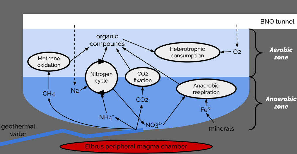 俄核科研机构在地下中微子观测站发现新型核区微生物生态系统