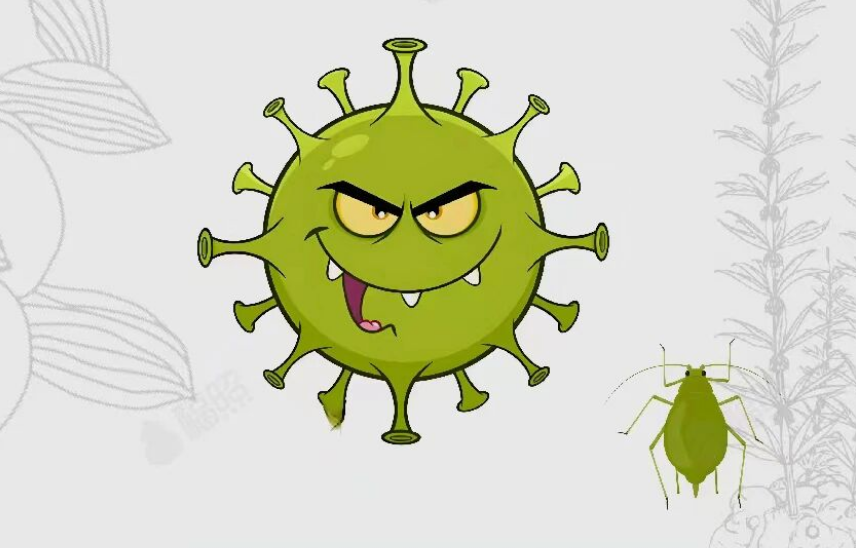 电子辐照技术：农业杀虫防霉的绿色利器