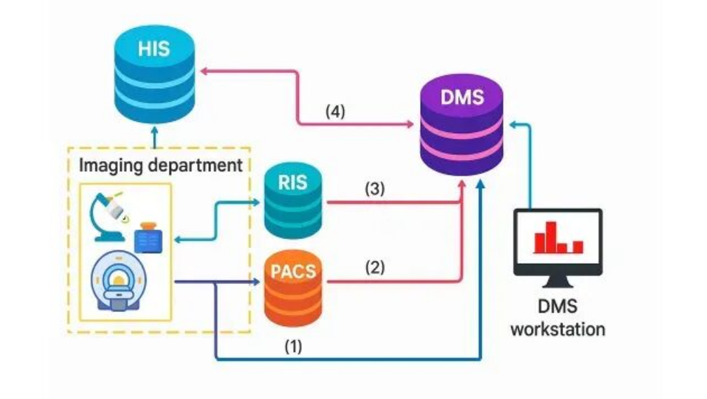 国际原子能机构发布首部剂量管理系统全球指南，助力精准医疗
