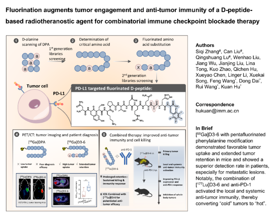 中国科研团队开发新一代PD-L1诊疗核药 为肿瘤免疫治疗提供新武器