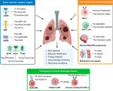 江苏省原子医学研究所杨敏教授团队 Chem. Biomed. Imaging | 特异性PET成像用于肺癌精准管理：研究进展、临床转化与未来方向