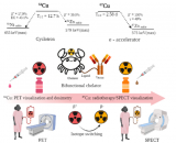 铜-64/67诊疗一体化核素对优势凸显 多款新型放射性药物进入临床研究