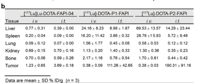 四川大学团队研发出新型靶向核素药物 大幅提升肿瘤滞留效果延长生存期